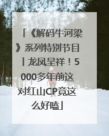 《解码牛河梁》系列特别节目丨龙凤呈祥！5000多年前这对红山CP竟这么好嗑
