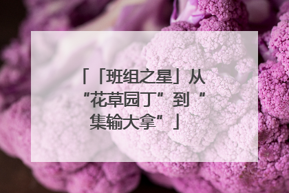 「班组之星」从“花草园丁”到“集输大拿”