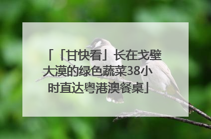 「甘快看」长在戈壁大漠的绿色蔬菜38小时直达粤港澳餐桌