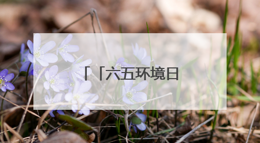 「六五环境日」阜新市全领域全流域“净河行动”正式启动