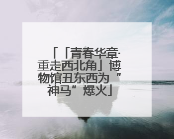 「青春华章·重走西北角」博物馆丑东西为“神马”爆火