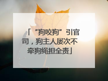 “狗咬狗”引官司，狗主人屡次不牵狗绳担全责