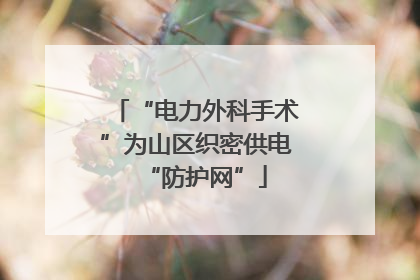 “电力外科手术”为山区织密供电“防护网”