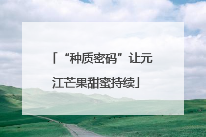 “种质密码”让元江芒果甜蜜持续