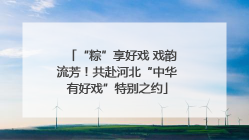 “粽”享好戏 戏韵流芳！共赴河北“中华有好戏”特别之约