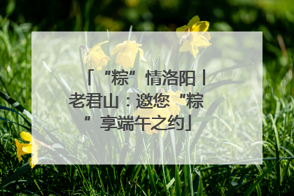 “粽”情洛阳丨老君山：邀您“粽”享端午之约