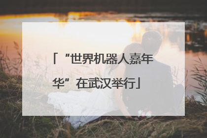 “世界机器人嘉年华”在武汉举行