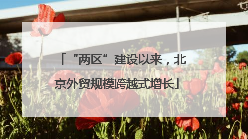 “两区”建设以来，北京外贸规模跨越式增长