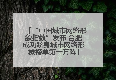 “中国城市网络形象指数”发布 合肥成功跻身城市网络形象榜单第一方阵