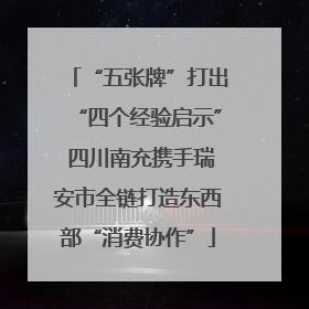 “五张牌”打出“四个经验启示” 四川南充携手瑞安市全链打造东西部“消费协作”