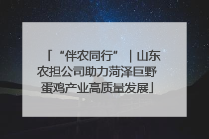 “伴农同行”｜山东农担公司助力菏泽巨野蛋鸡产业高质量发展