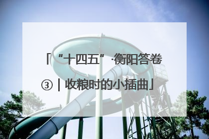“十四五”·衡阳答卷③｜收粮时的小插曲