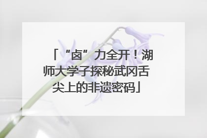 “卤”力全开！湖师大学子探秘武冈舌尖上的非遗密码