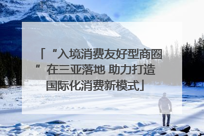 “入境消费友好型商圈”在三亚落地 助力打造国际化消费新模式