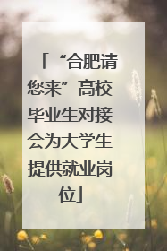 “合肥请您来”高校毕业生对接会为大学生提供就业岗位