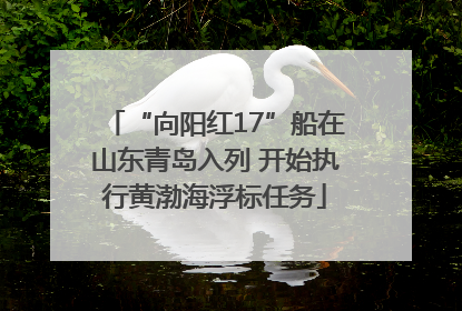 “向阳红17”船在山东青岛入列 开始执行黄渤海浮标任务