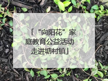 “向阳花”家庭教育公益活动走进塘村镇