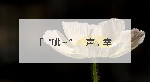 “呲～”一声，幸福保鲜舱开启！海信冰箱世杯MV引爆全球“新鲜感”共鸣