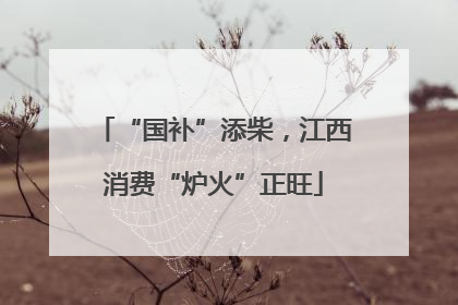 “国补”添柴，江西消费“炉火”正旺