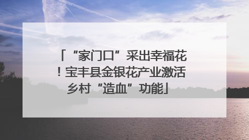 “家门口”采出幸福花！宝丰县金银花产业激活乡村“造血”功能