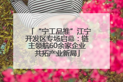 “宁工品推”江宁开发区专场启幕：链主领航60余家企业共拓产业新局