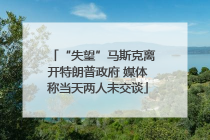 “失望”马斯克离开特朗普政府 媒体称当天两人未交谈