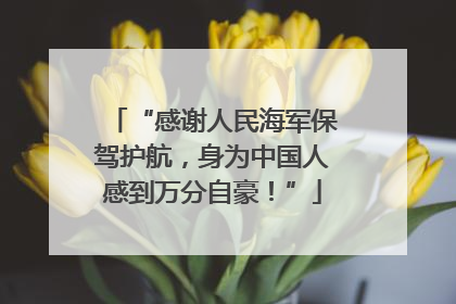 “感谢人民海军保驾护航，身为中国人感到万分自豪！”