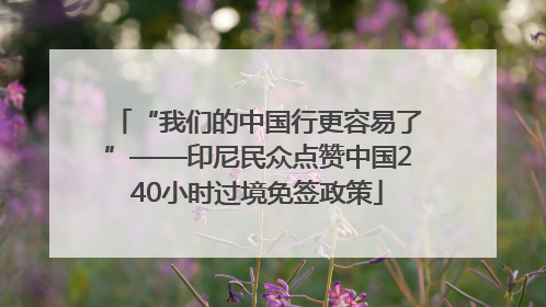 “我们的中国行更容易了”——印尼民众点赞中国240小时过境免签政策