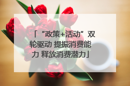 “政策+活动”双轮驱动 提振消费能力 释放消费潜力