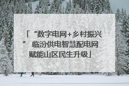 “数字电网+乡村振兴” 临汾供电智慧配电网赋能山区民生升级