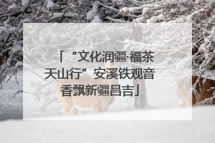 “文化润疆·福茶天山行”安溪铁观音香飘新疆昌吉