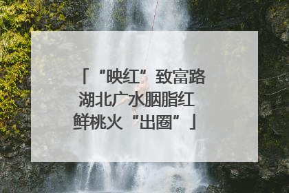 “映红”致富路 湖北广水胭脂红鲜桃火“出圈”