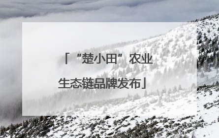 “楚小田”农业生态链品牌发布
