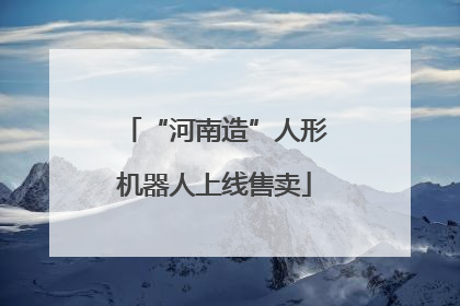 “河南造”人形机器人上线售卖