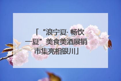 “浪宁夏· 畅饮一夏”美食美酒展销市集亮相银川