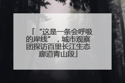 “这是一条会呼吸的岸线”，城市观察团探访百里长江生态廊道青山段