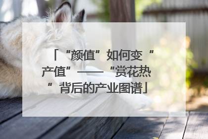 “颜值”如何变“产值”——“赏花热”背后的产业图谱