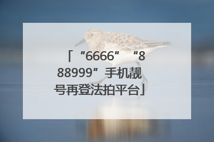 “6666”“888999”手机靓号再登法拍平台