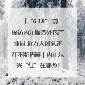 “6·18” 前探访内江服务外包产业园 近万人团队还在不断拓展｜内江东兴“红”在哪⑤