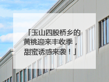 玉山四股桥乡的黄桃迎来丰收季，甜蜜诱惑来袭！