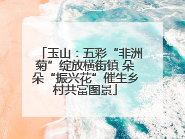 玉山：五彩“非洲菊”绽放横街镇 朵朵“振兴花”催生乡村共富图景