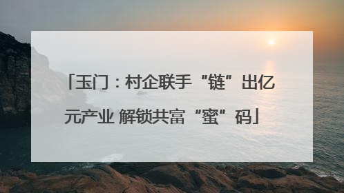 玉门：村企联手“链”出亿元产业 解锁共富“蜜”码