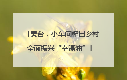 灵台：小车间榨出乡村全面振兴“幸福油”