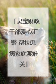 灵宝财政干部爱心汇聚 帮扶患病家庭渡难关