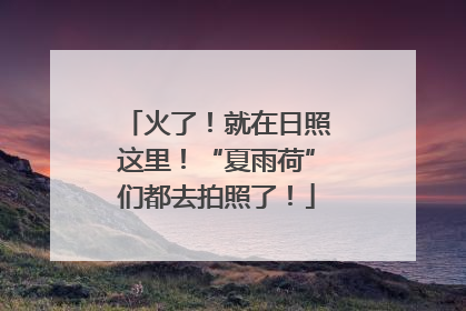 火了！就在日照这里！“夏雨荷”们都去拍照了！