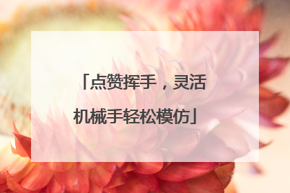 点赞挥手，灵活机械手轻松模仿