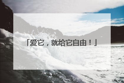 爱它，就给它自由！
