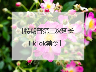 特朗普第三次延长TikTok禁令