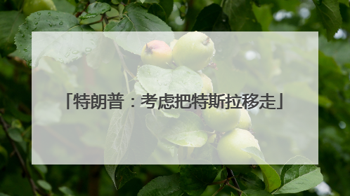 特朗普：考虑把特斯拉移走