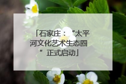 石家庄：“太平河文化艺术生态圈”正式启动